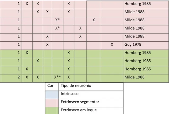 Tabela 01: Tipos de neurônios e os sítios de ramificação no complexo central (regiões intrínsecas) e outras  regiões  (extrínsecas)
