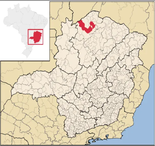 FIGURA 1 - Localização do município de Januária-MG na região semiárida mineira 