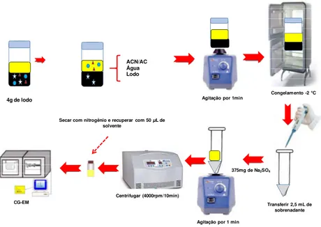 Figura 4 - Representação das etapas da técnica de extração sólido-líquido  com  purificação  em  baixa  temperatura  (ESL-PBT)  de   2,3,7,8-TCDF e de 2,3,7,8-TCDD em lodo de esgoto 