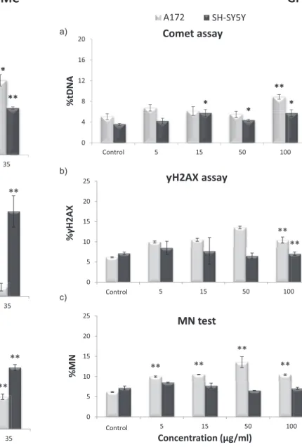 Fig. 6. Genotoxicity in glial and neuronal cells treated with GF. Comet assay (a), g H2AX analysis (b), and MN frequency determined by ﬂow cytometry (c)