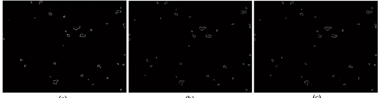 Figure 3.4: Illustrations of the some of the edge detectors in Leishmania infected images: a) Roberts Operator; b) Canny Operator; 