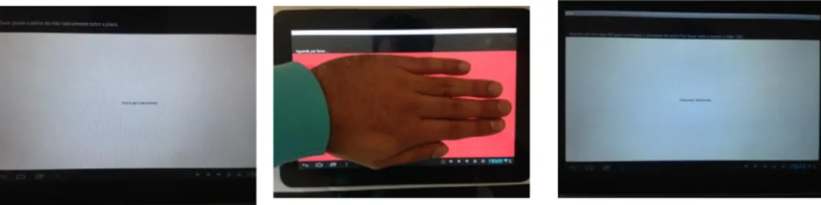 Figure 1: The palm application software: before, during and after the test 