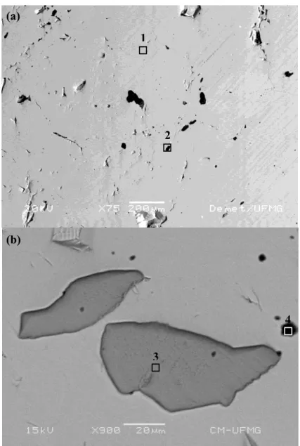 Fig. 3.1. Back-scattered electron micrographs of (a) CE, (b) ME and (c) PE electrodes, and  selected areas analyzed by EDS