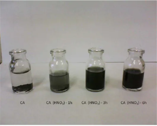 Figura 9.  Dispersão dos CAs, submetidos ao tratamento com HNO 3 , em água destilada. 