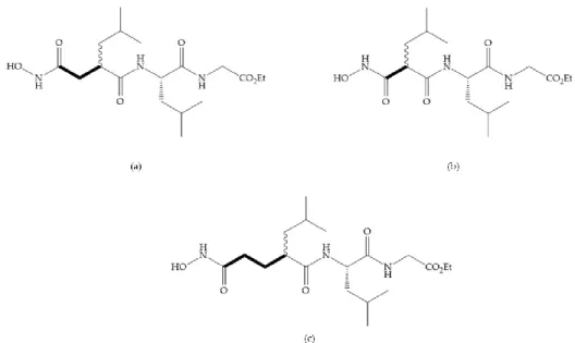 Figure 13. (a) Derivates of succinyl hydroxamic acid; (b) malonyl acid; (c) glutaryl acid