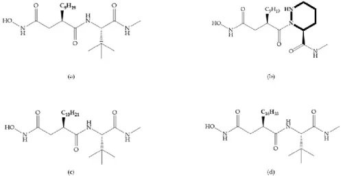 Figure 9. Inhibitors with modification of R 1  position. (a) Inhibitor with alkyl chain