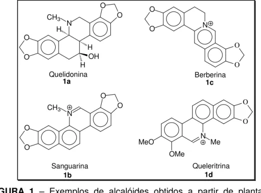 FIGURA  1  –  Exemplos  de  alcalóides  obtidos  a  partir  de  plantas  da  família Papavaracea 