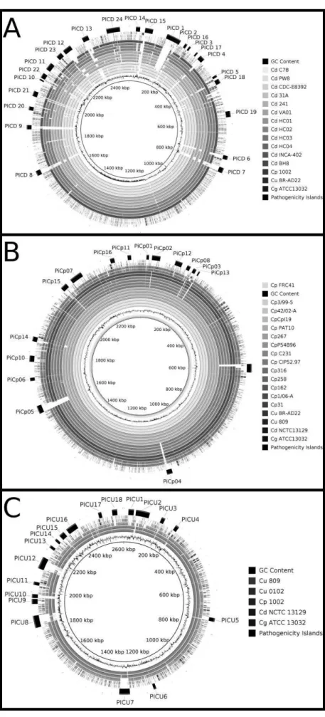 Fig.  2  Circular  genome  comparison  between  C.  ulcerans,  C.  pseudotuberculosis,  C