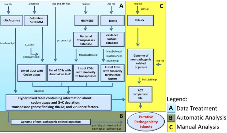 Figure 1. Flowchart presenting each PAI analysis step performed by PIPS. The procedure is divided into the following steps: (A) data treatment; (B) automatic analyses; and (C) manual analyses.
