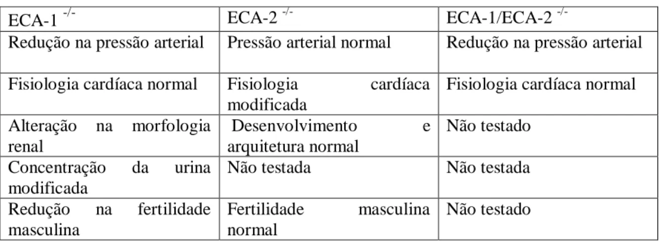 Tabela  2-  Efeitos  da  remoção  dos  genes  para  ECA-1;  ECA-2;  e  ECA-1  e  ECA-2  simultâneamente em camundongos