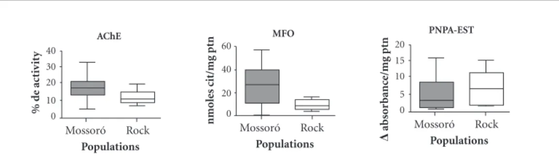Figure 2. Graphic representation, box-plot type, of enzymatic activity in populations of Aedes aegypti from  Mossoró (four study site pooled samples) and Rockefeller (Rock)