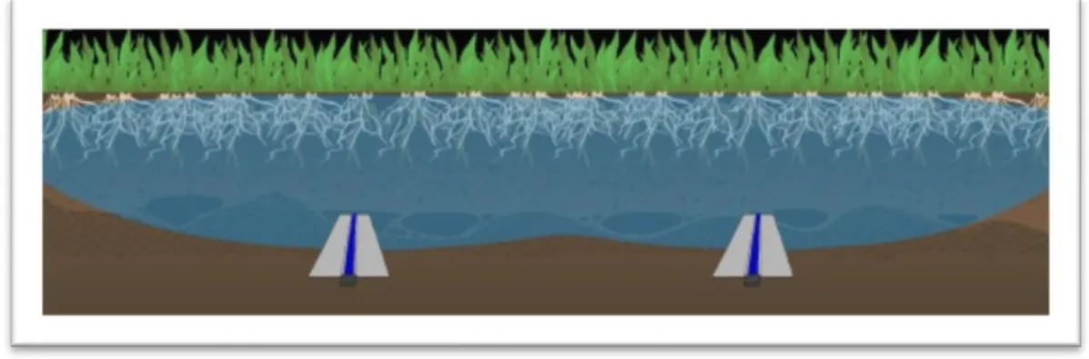 Figura 5 – Padrão de distribuição da água no solo com o sistema KISSS® 6