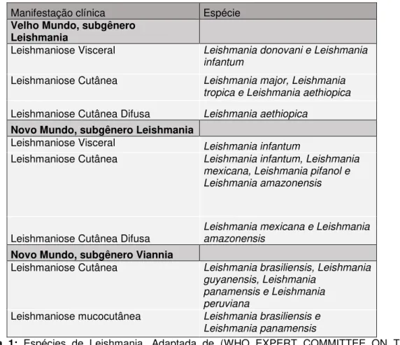 Tabela  1:  Espécies  de  Leishmania.  Adaptada  de  (WHO  EXPERT  COMMITTEE  ON  THE 