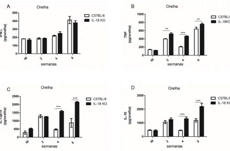 Figura  4.  Avaliação  das  concentrações  de  IFN- γ,  TNF,  IL-12p70  e  IL-10  nas  lesões  de  camundongos  selvagens  e  IL-18  KO  infectados  com  Leishmania  amazonensis