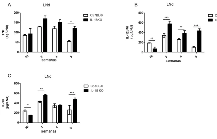 Figura 6. Análise das concentrações de TNF, IL-12p70 e IL-10 nos linfonodos drenantes de  camundongos  selvagens  e  IL-18  KO  infectados  com  Leishmania  amazonensis