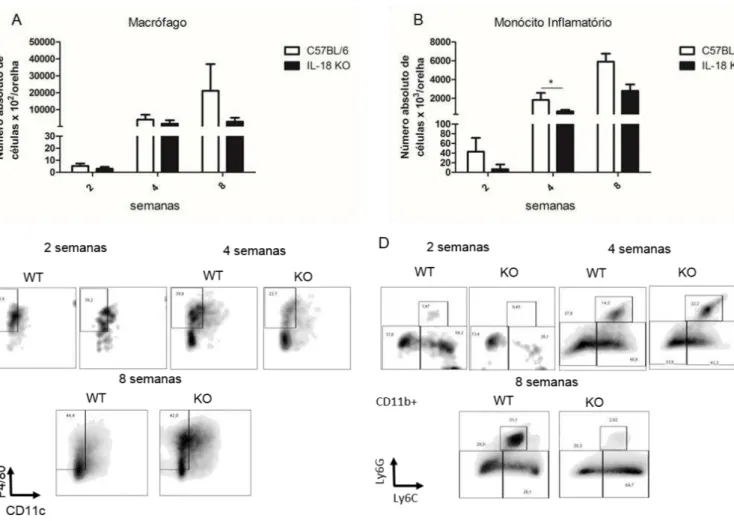 Figura 7. Avaliação de Macrófagos e Monócitos presentes no infiltrado inflamatório nas  lesões de camundongos selvagens e IL-18 KO infectados com Leishmania amazonensis