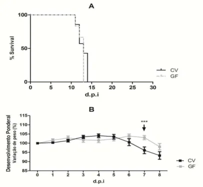Figura 5. Papel  da  microbiota  na sobrevivência (A) e  no desenvolvimento  ponderal (B) em camundongos infectados  oralmente com cistos de T