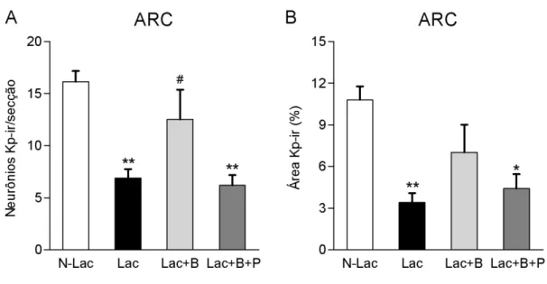 Figura  6:  Efeito  do  bloqueio  da  secreção  de  PRL  com  bromocriptina  sobre  a  expressão  de  kisspeptina  no  ARC  durante  a  lactação
