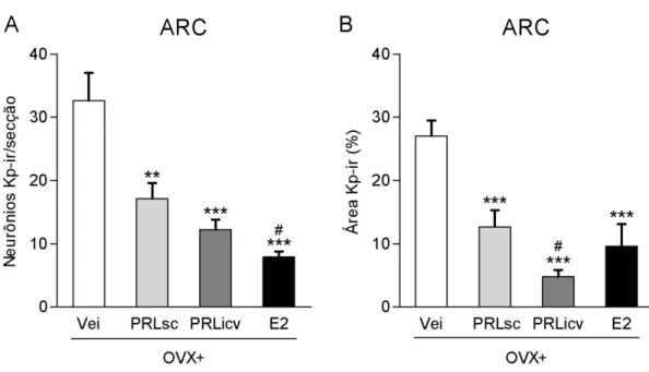 Figura 13: Efeito da PRL sobre a expressão de kisspeptina no ARC de ratas OVX. Ratas foram  OVX  e  tratadas  a  partir  do  dia  seguinte  com  PRLo  s.c