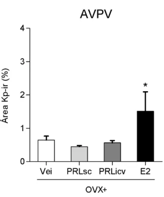 Figura  15:  Expressão  de  kisspeptina  no  AVPV  de  ratas  OVX  tratadas  com  PRLo  e  estradiol