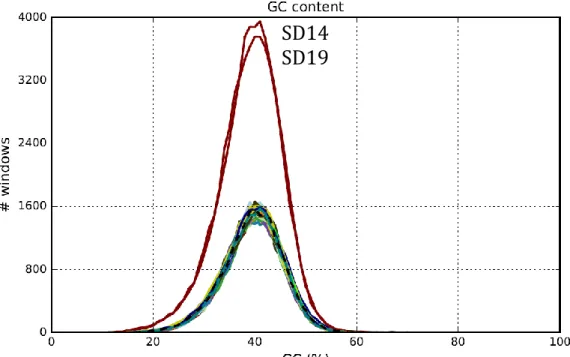 Figure 3.3 GC content graph of the 51 animal and human Streptococcus dysgalactiae subsp