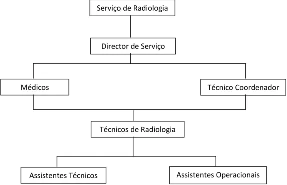 Figura 4. Organigrama do Serviço de Radiologia do Hospital de Faro, E.P.E. 