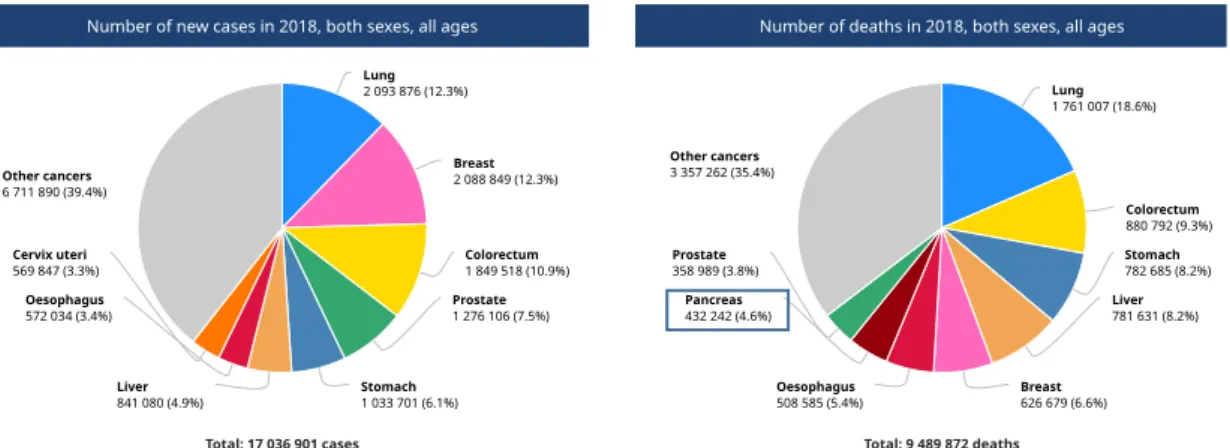 Figure 6. Number of new cases and deaths of cancer worldwide  