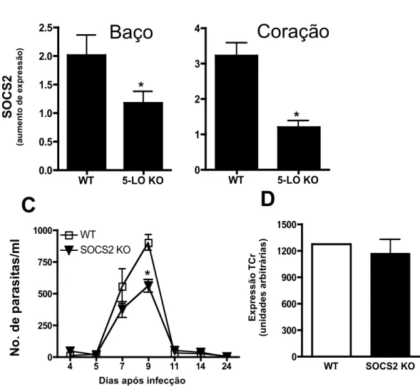 Figura  1.  Expressão  reduzida  de  SOCS2 no  baço  e  coração  de  animais  5-LO  KO  15  dias após infeccção (dpi)
