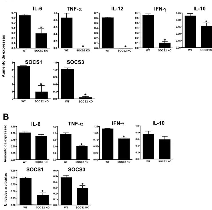 Figura 2. Expressão reduzida de citocinas inflamatórias, SOCS1 e SOCS3 no baço e  coração  de  animais  SOCS2  KO  infectados