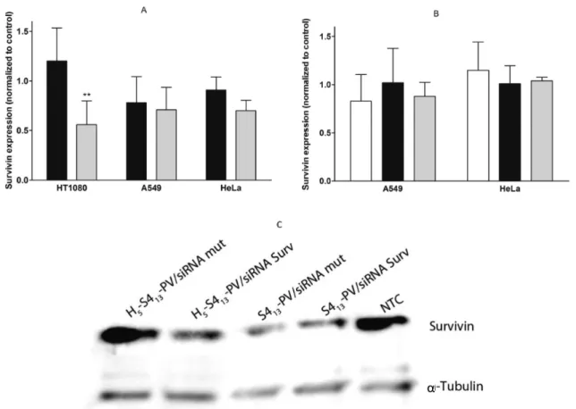 Figure 7 presents survivin protein levels, assessed by Western blot analysis and normalized with α -tubulin levels, following transfection with both binary and ternary complexes