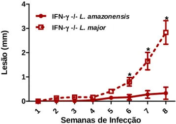 Gráfico  3.  Curso  de  Infecção:  Camundongos  IFN-γ   -/-  foram  infectados  com  1x10 5 promastigotas, na fase estacionária, de L
