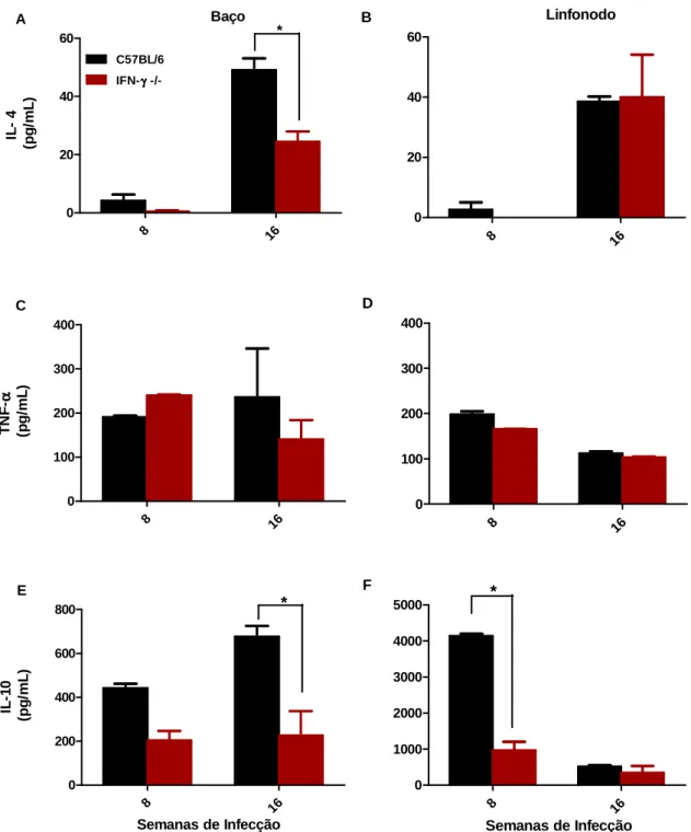 Gráfico 7. Cinética de produção de IL-4 (A) e (B); TNF- α  (C) e (D) e IL-10 (E) e (F) no baço  e linfonodo poplíteo de camundongos C57BL/6 e IFN- γ  -/-