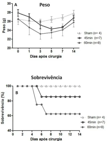 Figura  12:  Avaliação  do  peso  e  curva  de  sobrevivência  de  animais  WT  submetidos  a  45  e  60min de isquemia
