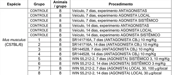 FIGURA 12:  Tabela esquemática para o delineamento experimental proposto.  Modelo também anexado ao protocolo n º 147/06 (CETEA/COEP – UFMG)