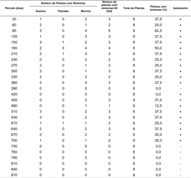Tabela  1  -  Persistência  de  Curtobacterium  flaccumfaciens  pv.  flaccumfaciens  em  solo  de  cerrado cultivado com feijoeiro comum