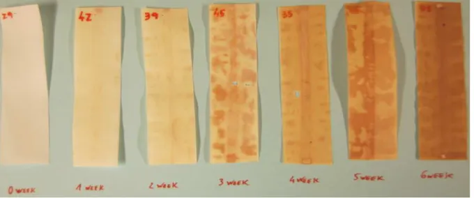 Figure 4.19: PEHF bands that were wrapped with tape A without adhesive. 