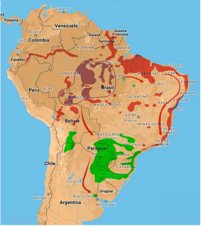Figura 2: Distribuição das línguas da família Tupi (em roxo, as subfamílias originais; as cores vermelho e verde  correspondem à família Tupi-Guarani, com o subgrupo Guarani em verde) 