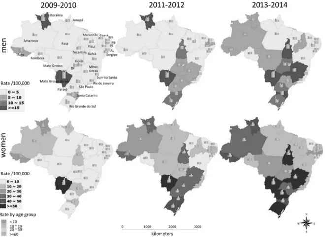 Figure 2. Distribution of domestic violence rates in Brazil by age, sex and period (2009-2014)
