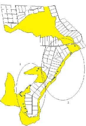 Figura  2.  Reserva  legal  (em  amarelo)  do  Projeto  de  Assentamento  Itaúna  e  unidades  amostrais (pontos) demarcadas de acordo com a ocorrência de Eugenia dysenterica, na  área queimada em 2010 (1) e protegida do fogo (2)