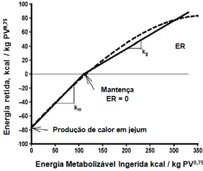 Figura 2. Representação da relação entre energia retida (ER) e energia metabolizável (EM)