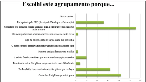 Figura 3.1 - Razões apontadas para a escolha do agrupamento 