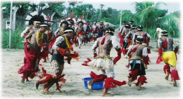 Foto 1. Indígenas Javaé apresentando a Dança dos Aruanãs 40 . 