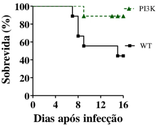 Figura 8: Taxa de letalidade induzida pela infecção pelo sorotipo 3 do Dengue virus em 