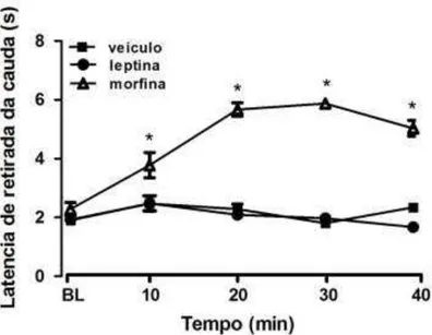 Figura  6: Efeitos  da morfina  5mg/kg  i.p.,  leptina 10,0µg/µL  (icv) e  veículo  (icv)  em  ratos, no teste de retirada da cauda