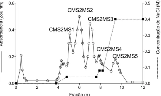 Figura 8. Cromatografia em coluna de troca catiônica Mono-S Sepharose acoplada ao sistema  FPLC