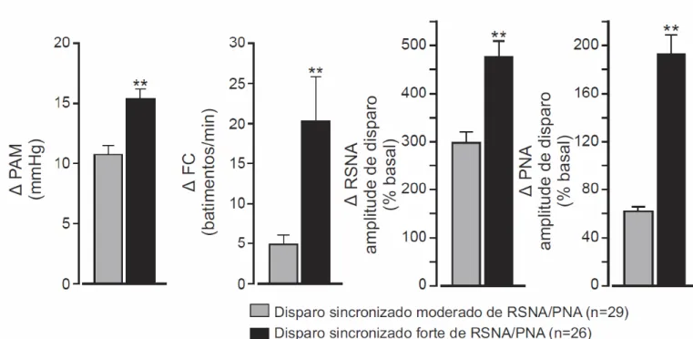Figura  10:  Alterações  na  PAM,  FC,  RSNA  e  PNA  produzidas  pela  microinjeção  unilateral  de  bicuculina
