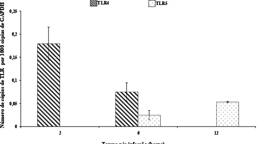 Gráfico 3: Expressão de mRNA para TLR4 e TLR5 após infecção de células MDBK com 