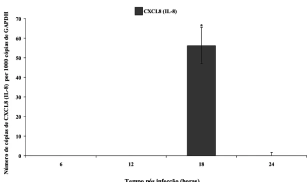 Gráfico 1: Expressão de mRNA para CXCL8 após infecção em células HeLa com 