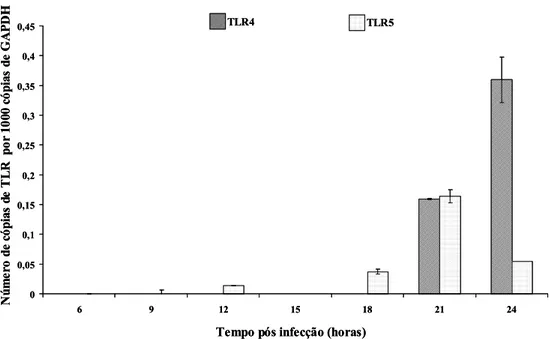 Gráfico 4: Expressão de mRNA para TLR4 e TLR5 após infecção com Tritrichomonas foetus  em células MDBK com uma multiplicidade de infecção de 5 protozoários/célula