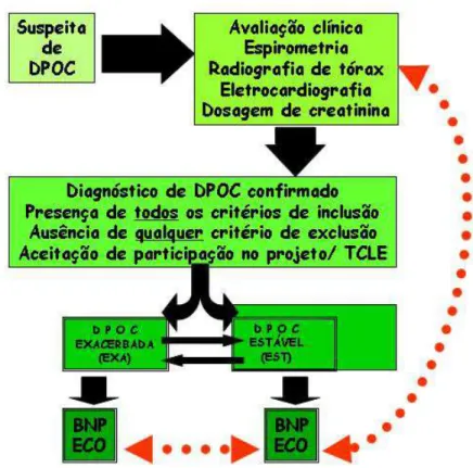 FIGURA 4: Esquema geral do estudo. 